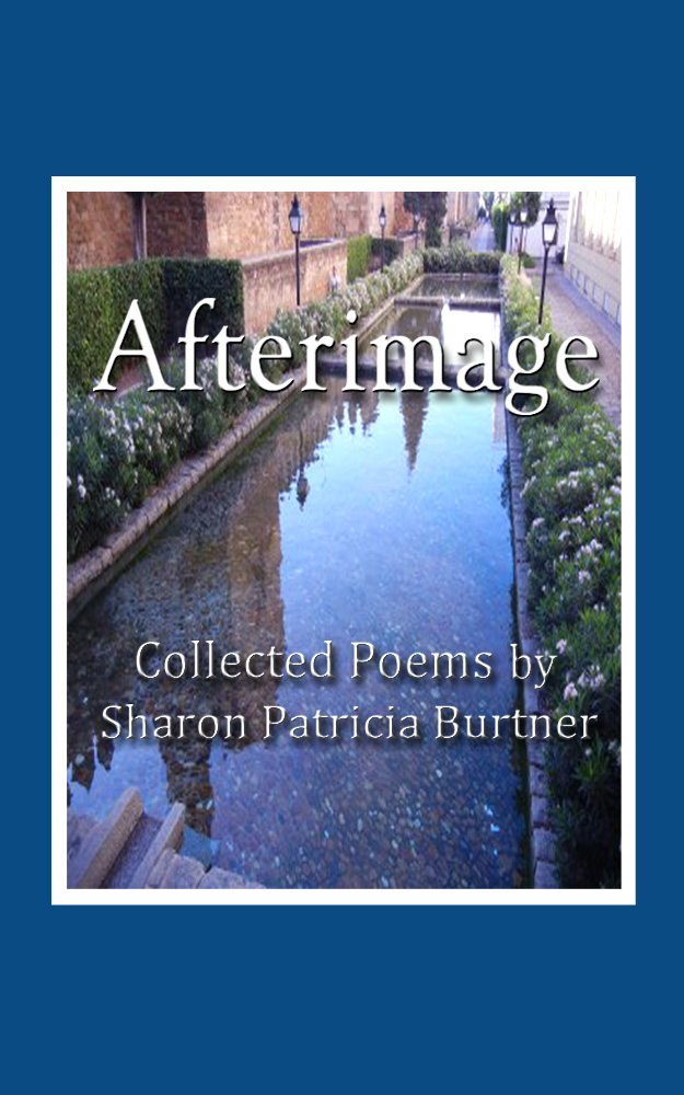 ebook link: click to order Afterimage
